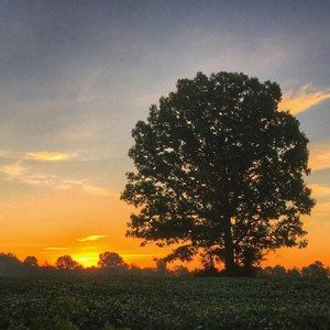 Meet your Posher, Chri